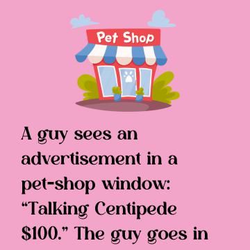 A Guy Sees An Advertisement In A Pet-Shop Window