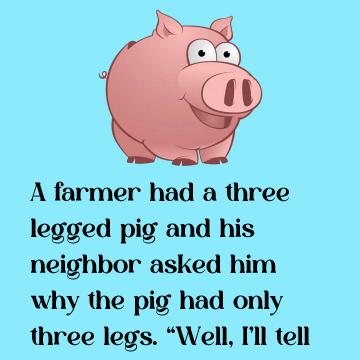 Three Legged Pig